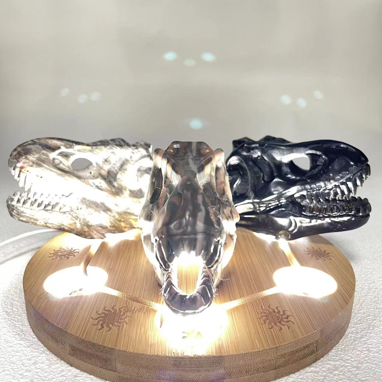 T-Rex Skull Big Size