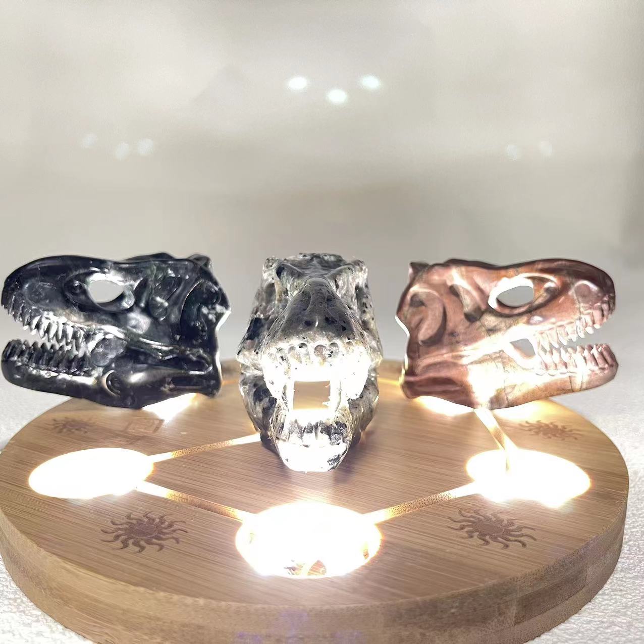 T-Rex Skull Small Size