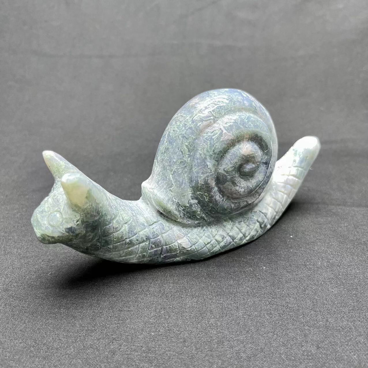 Moss Agate Snail