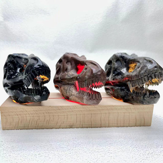 T-Rex Skull Small Size