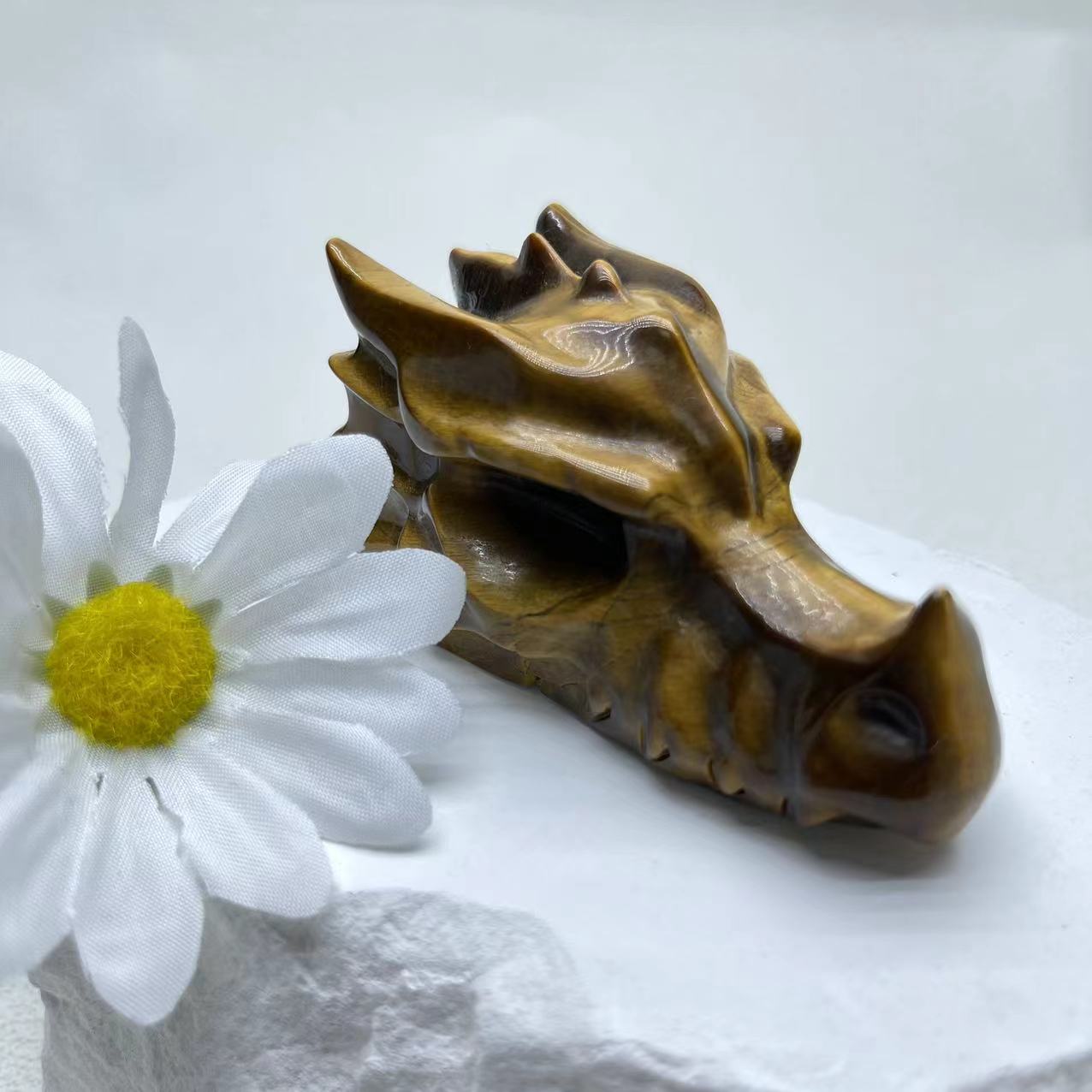 Dragon Head, Tiger Eye Medium Size