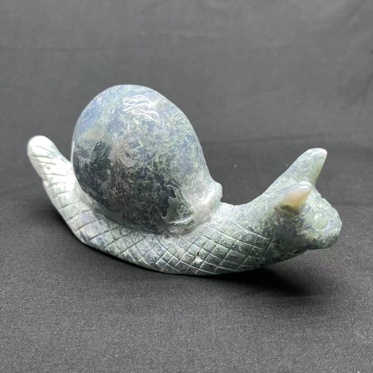 Moss Agate Snail