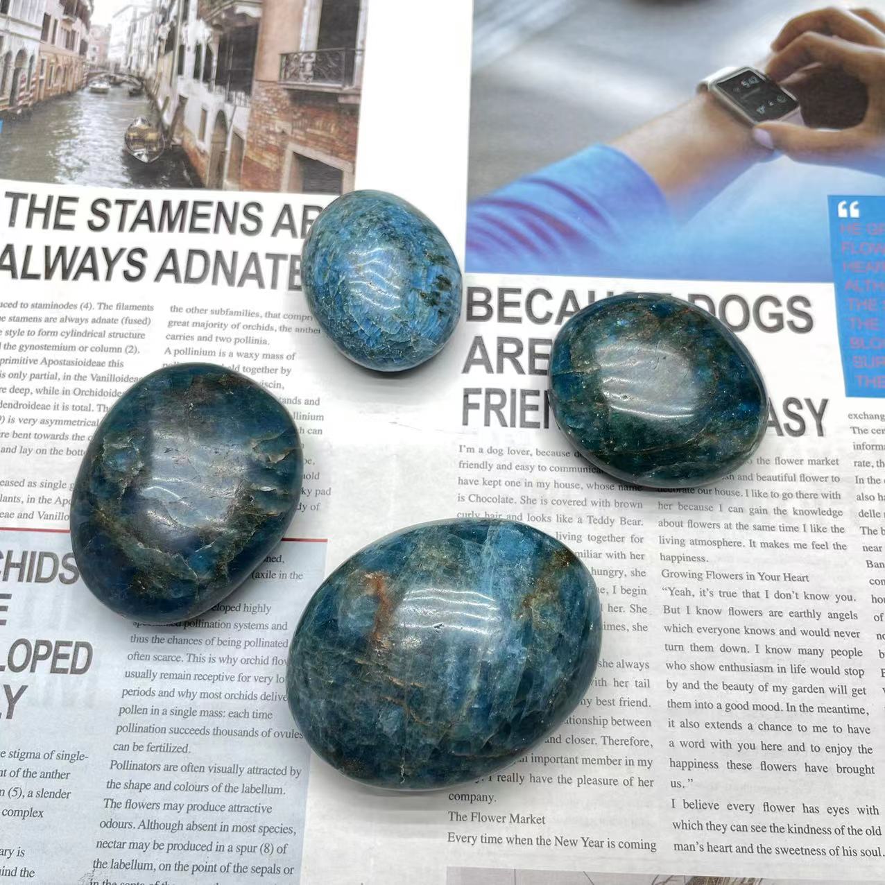 Blue Apatite Palm