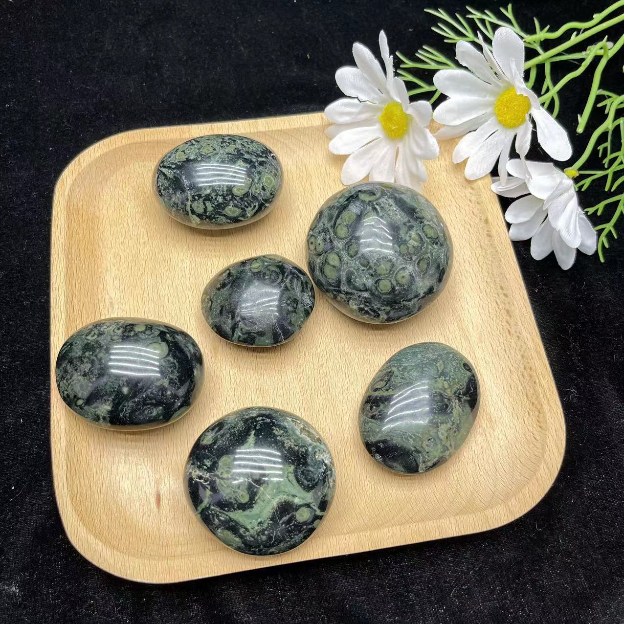 Kambaba Jasper Palm
