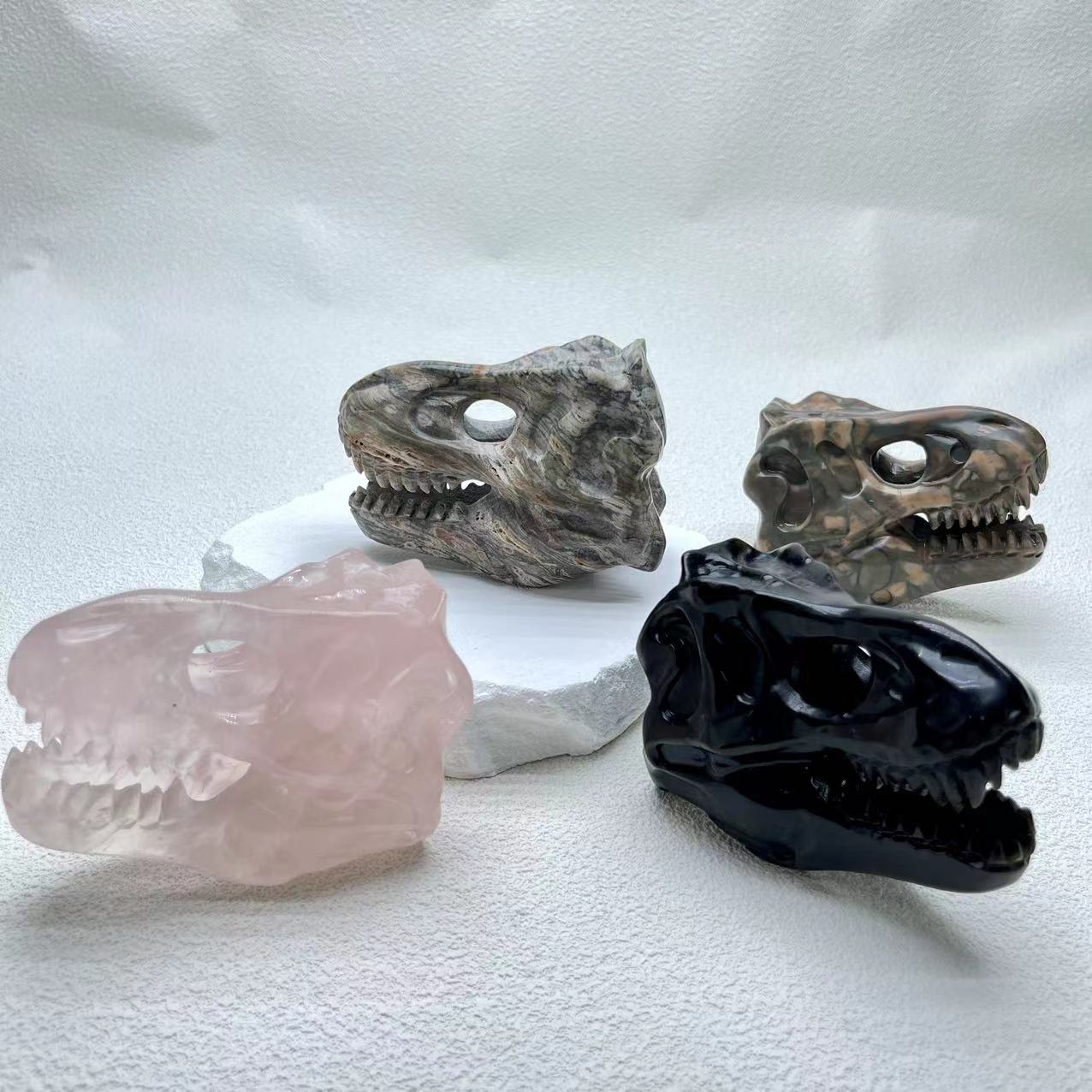 T-Rex Skull Big Size