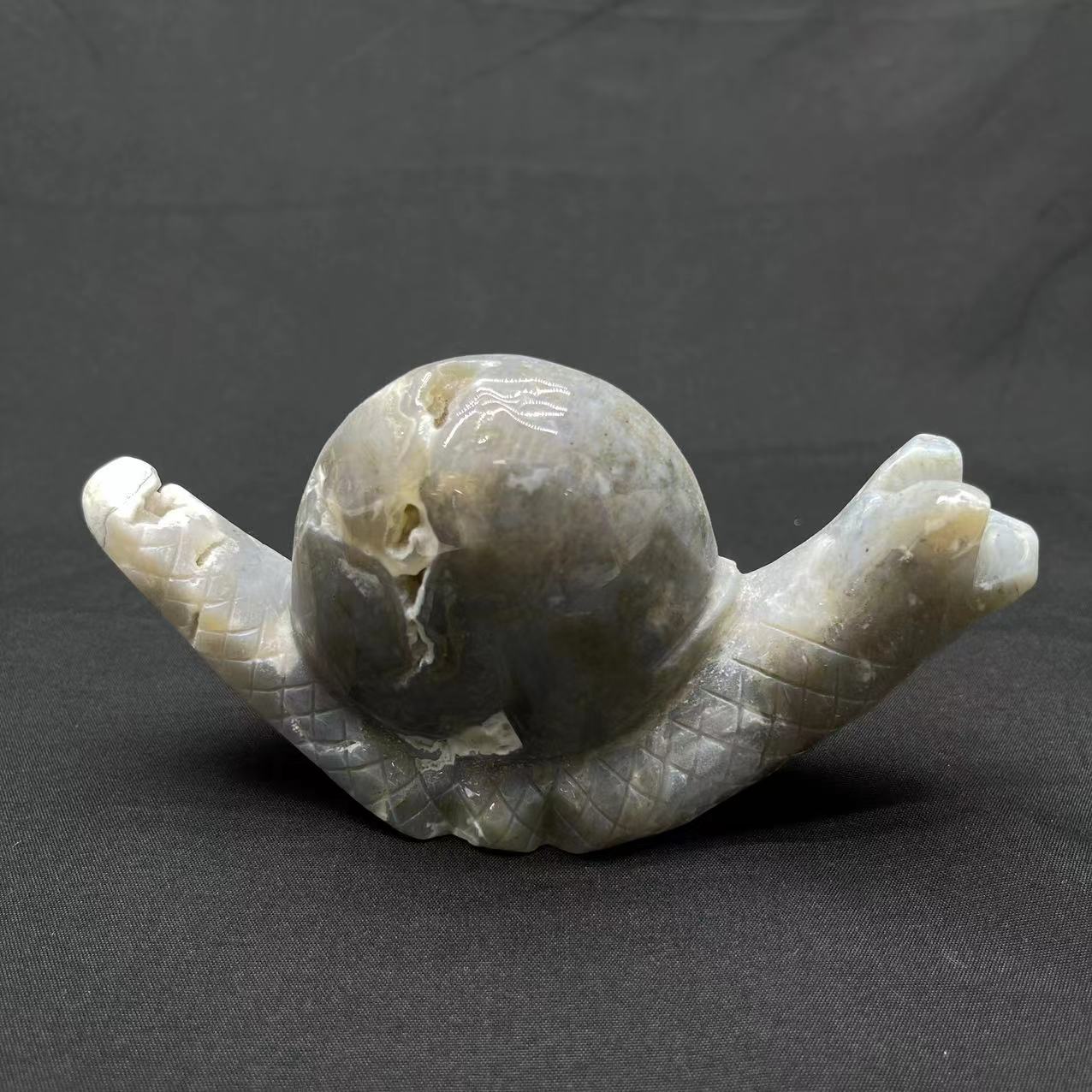 Moss Agate Snail