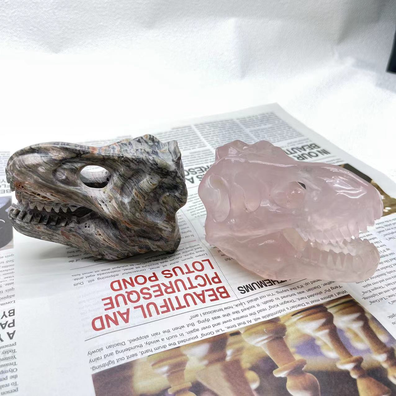 T-Rex Skull Big Size