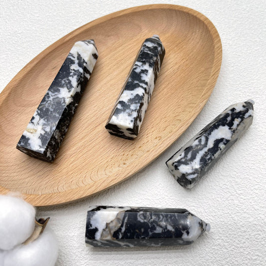 Black and White Zebra Stone Point