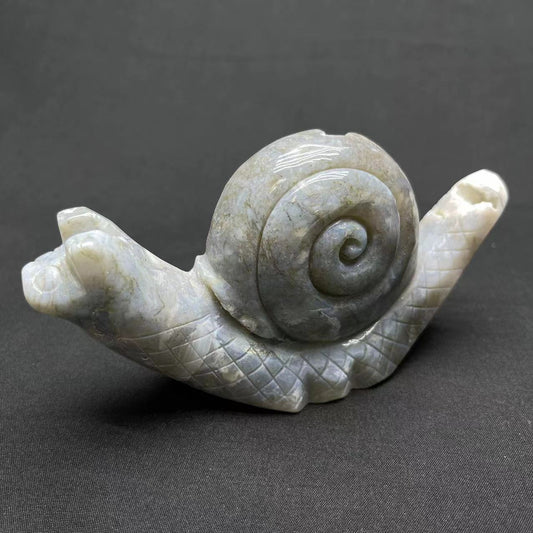 Moss Agate Snail