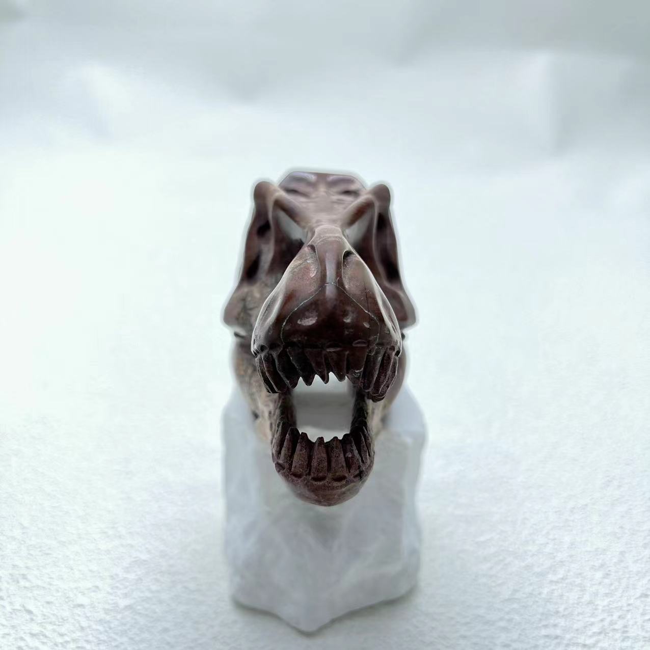 T-Rex Skull Small Size