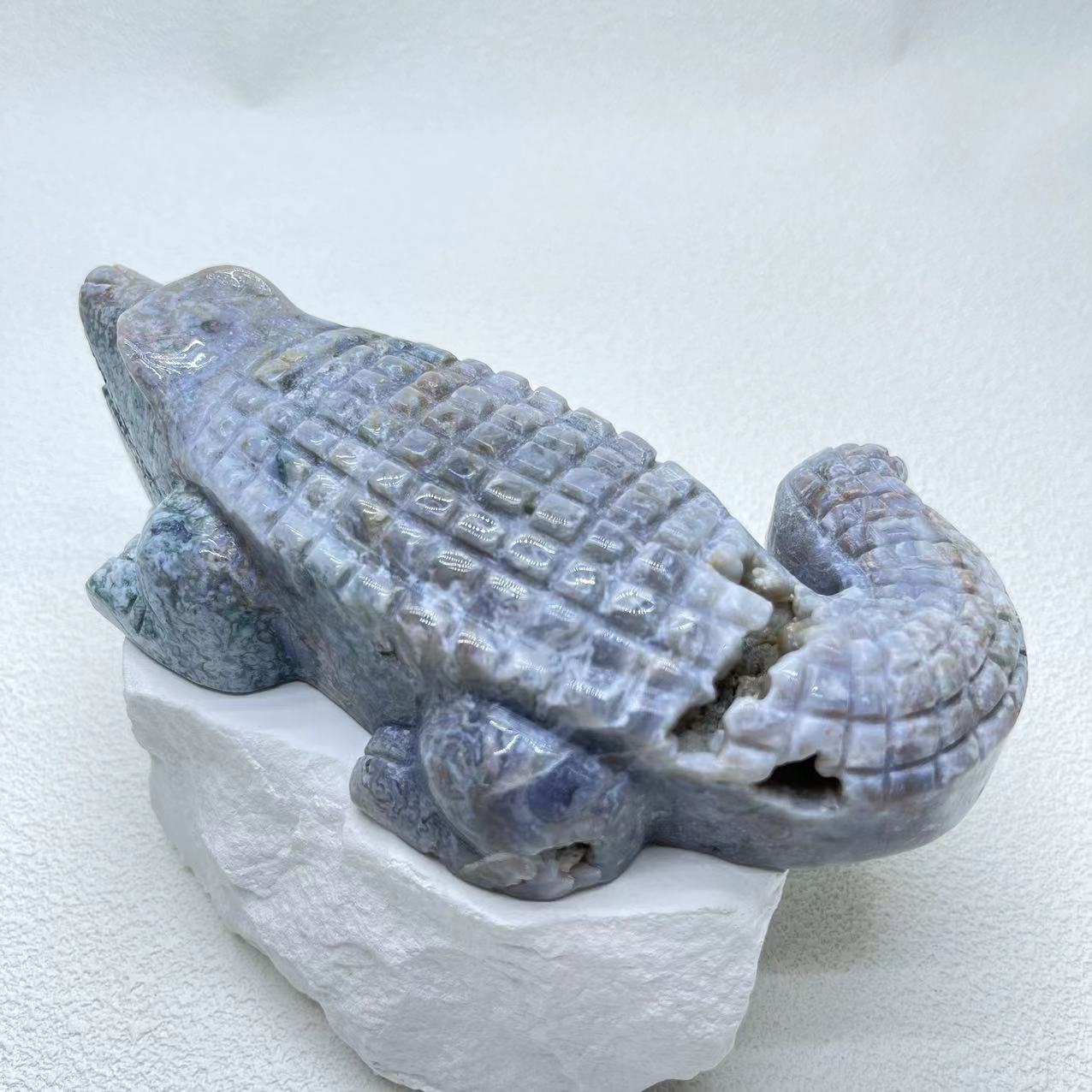 Alligator Ocean Jasper