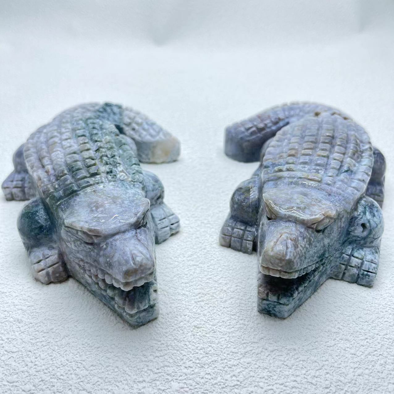 Alligator Ocean Jasper