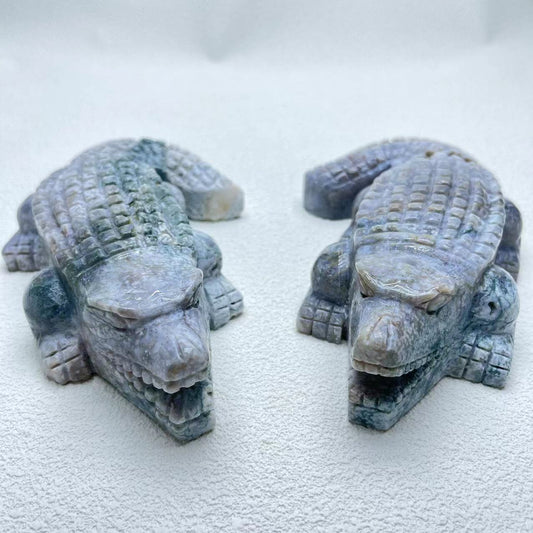 Alligator Ocean Jasper