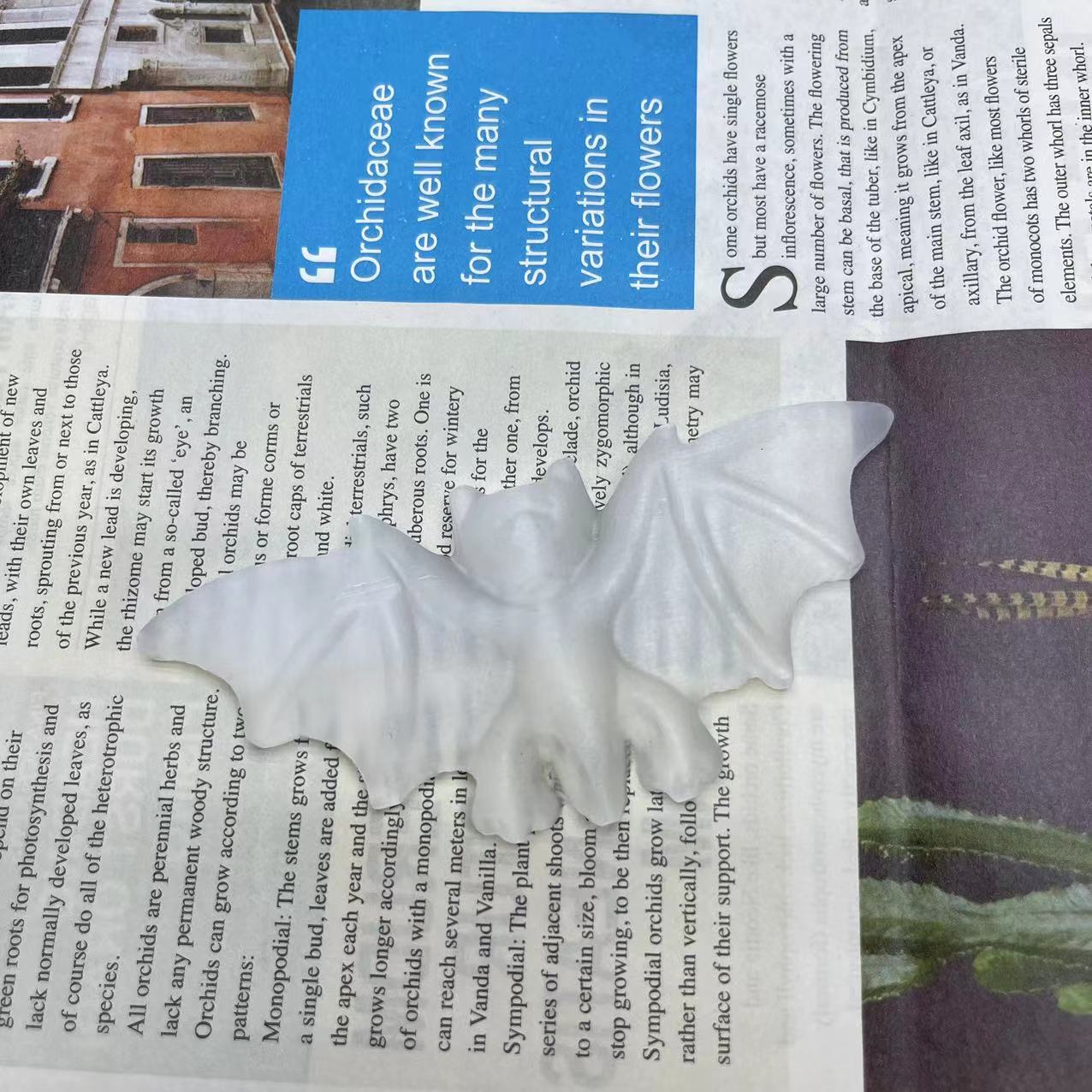 Selenite Bat