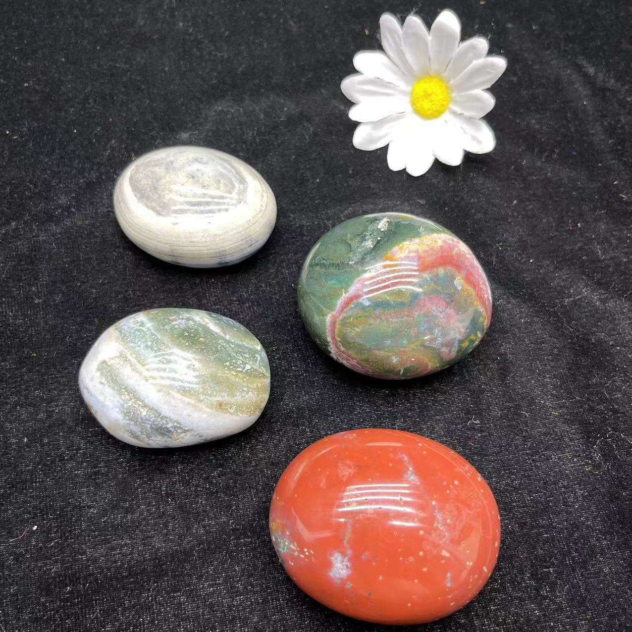 Ocean Jasper Palm