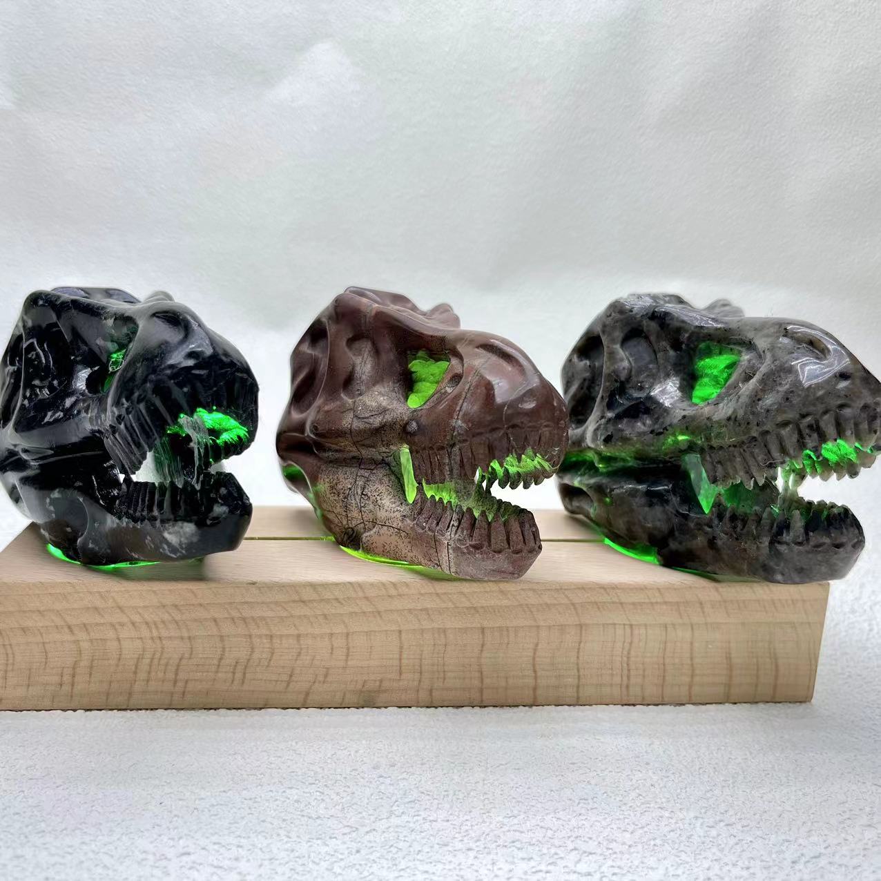 T-Rex Skull Small Size