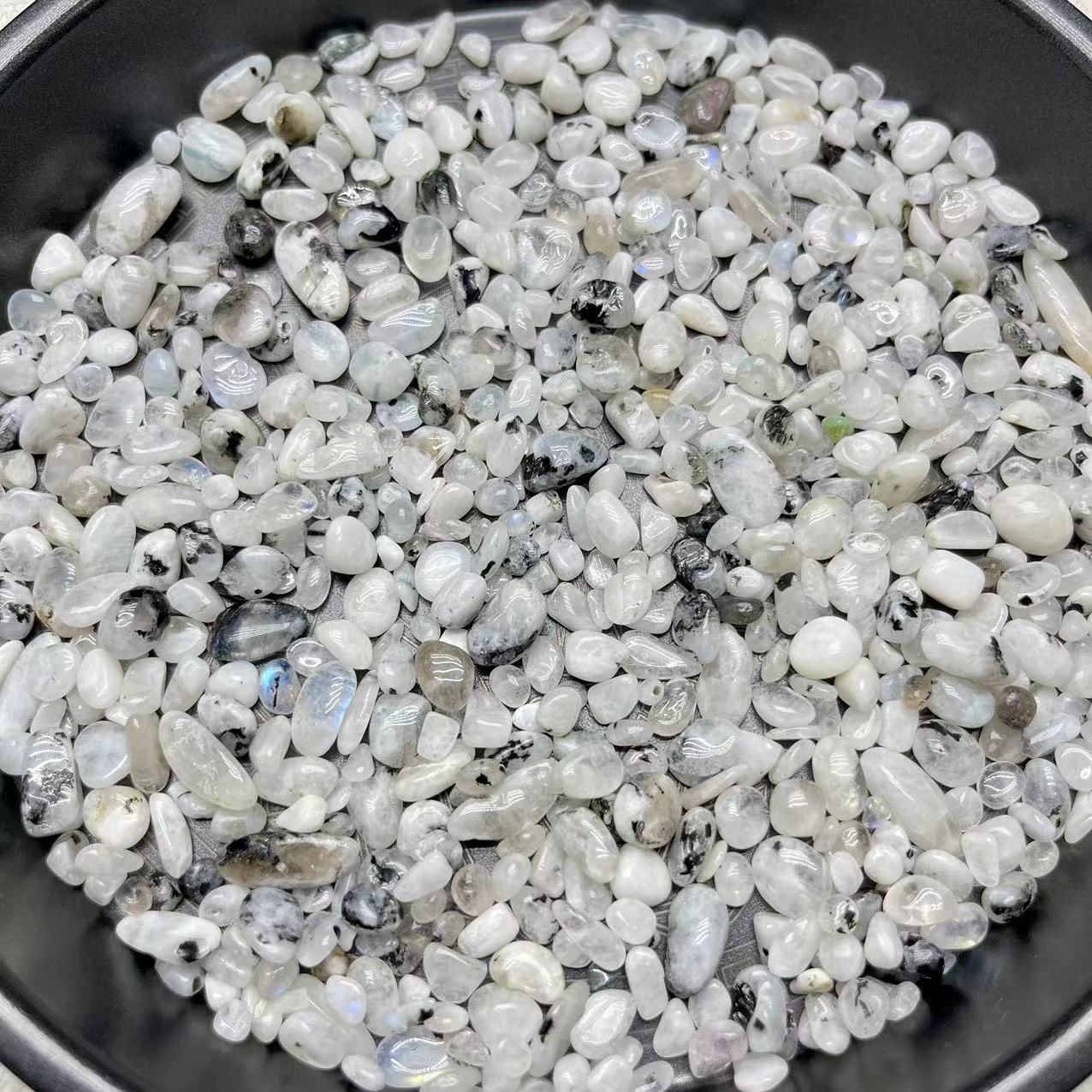 Black Dot White Moonstone