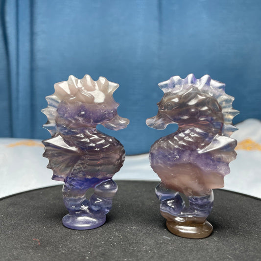 Fluorite Seahorse Carving,Set of 1
